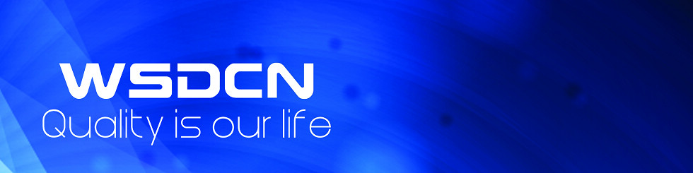 WSDCN2